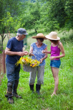 Photo for Senior Couple and Mature Daughter Countryside Outdoors Collecting Wildflowers and Having great Time - Royalty Free Image