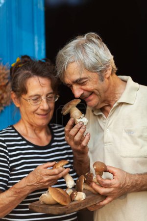 Téléchargez les photos : Heureux senior caucasien couple avec frais cueilli porcini champignons sur un en bois bureau - en image libre de droit