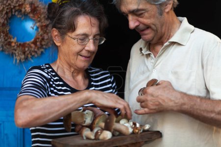 Téléchargez les photos : Heureux senior caucasien couple avec frais cueilli porcini champignons sur un en bois bureau - en image libre de droit