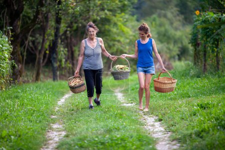 Photo for Senior Woman and Her Helping Adult Woman Friend Bringing Three Baskets of Vegetables from A Vegetable Garden - Royalty Free Image