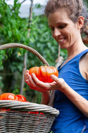 Photo for Adult Woman Farmer Happy for the Size and Healthy look of Her Home Grown Tomatoes - Royalty Free Image