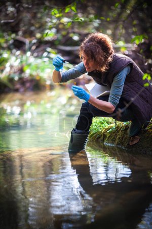 Foto de Bióloga confiada probando agua para presencia química en campo en un arroyo de agua forestal - Imagen libre de derechos