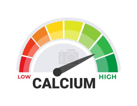 Illustration for Calcium Deficiency and Sufficiency Gauge Vector Illustration with Nutritional Intake Levels from Low to High. - Royalty Free Image