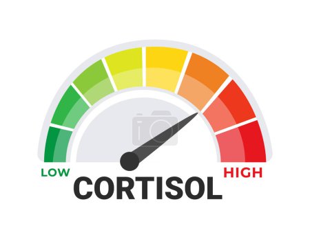 Illustration for Cortisol Level Indicator Vector Illustration with Visual Spectrum from Low to High for Stress and Health Monitoring. - Royalty Free Image