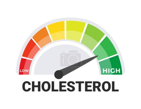 Illustration for Cholesterol Meter Vector Illustration, Indicating Levels from Low to High, Health and Medical Diagnostic Tool. - Royalty Free Image