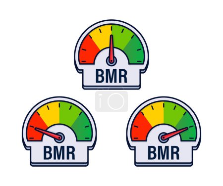 Téléchargez les illustrations : Taux métabolique basal Jauges d'évaluation BMR Illustration vectorielle avec indicateurs des besoins caloriques. - en licence libre de droit