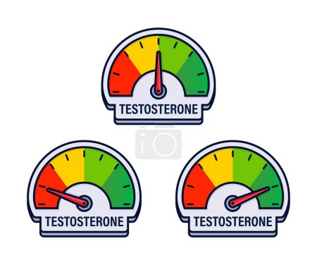Illustrazione per Serie di indicatori di livello del testosterone Illustrazione vettoriale con calibri di equilibrio ormonale codificati a colori. - Immagini Royalty Free