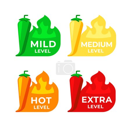 Chili spicy meter. Mild, medium, hot and extra levels. Hot and hell spicy level. Vector illustration