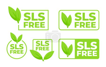Téléchargez les illustrations : Ensemble d'étiquettes SLS Free avec une feuille verte, indiquant des produits sans laurylsulfate de sodium pour les consommateurs soucieux de leur santé - en licence libre de droit