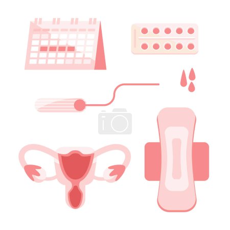 Menstruation theme, products. Periods, Feminine hygiene. Women climacteric Sanitary pads and tampons