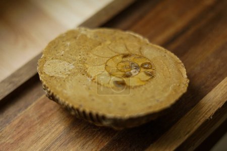 Foto de Pieza de amonita natural sobre el fondo de madera - Imagen libre de derechos
