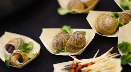 Edible snails. French cuisine. Close up.