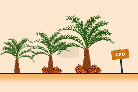 Palmen mit CPO-Zeichen. Vektorillustration