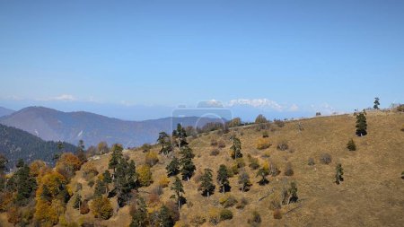 Foto de Montaña Koxta, Didveli, Bakuriani, Georgia - Imagen libre de derechos