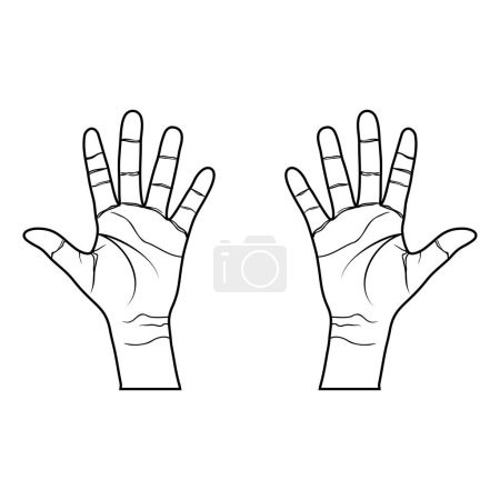 Illustration for Right hand left inner showing 5 fingers, raising 5 fingers black and white, tangan kanan kiri bagian dalam menunjukkan 5 jari, mengangkat 5 jari - Royalty Free Image
