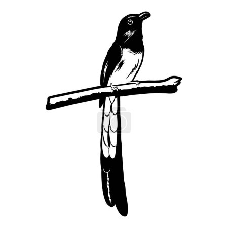 stone magpie perch on the wood black and white side view line art, stone magpie perch logo