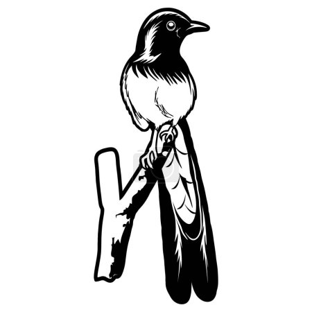 stone magpie bird perched black and white front view looking left line art, stone magpie bird logo