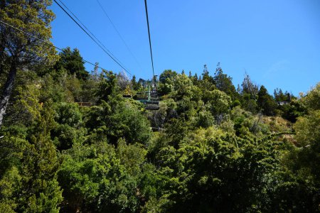 Funicular over the forest on the mountainside. Dense forest, view from above.