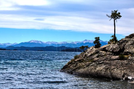 lone tree standing on a rock above the lake, San Carlos de Bariloche, Argentina, South America