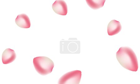 Wektor różowy sakura spadające płatki tła