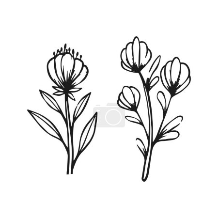 Vector dibujado a mano diseño plano simple contorno de flores en blanco