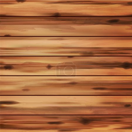 Vector realistic wood illustration background