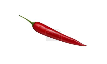 Vector realistic red hot natural chili pepper, isolated image