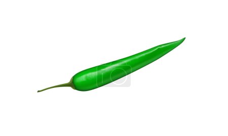 Vector realistic green hot natural chili pepper, isolated image