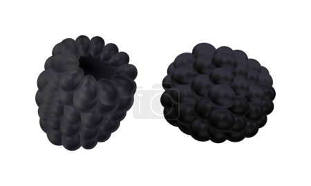 Vector blackberry isolated set on white background
