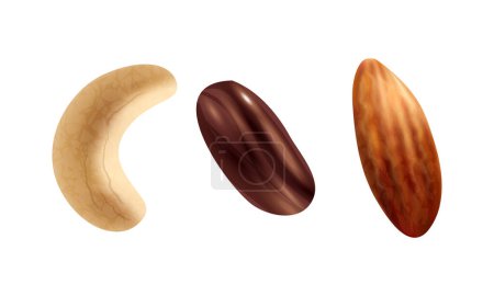 Vector set vector icons of nuts on white background