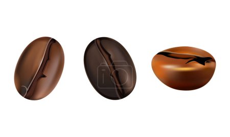 Vector dark roasted coffee beans set in different positions