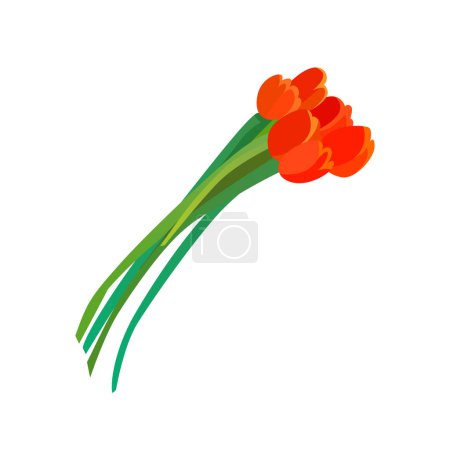 Illustration for Vector bouquet of red tulips vector illustration - Royalty Free Image