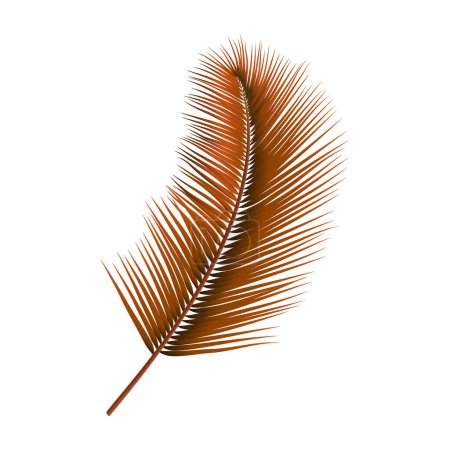 Téléchargez les illustrations : Feuilles de palmier réalistes brun vecteur isolées sur blanc - en licence libre de droit