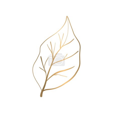 Vector hand drawn golden leave on white background