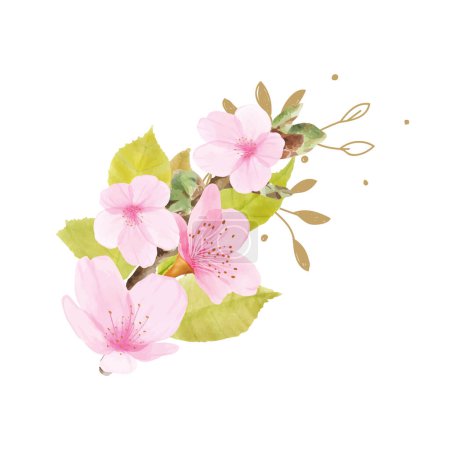 Vector watercolor cherry blossom branch illustration on white