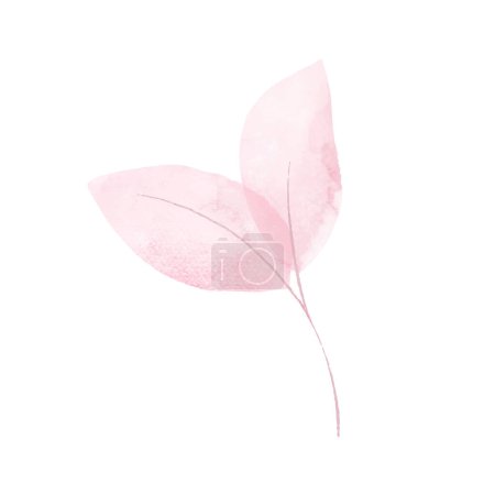Vector watercolor leaves on white background