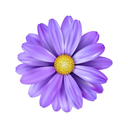 Téléchargez les illustrations : Vecteur un tournesol violet sur fond blanc - en licence libre de droit