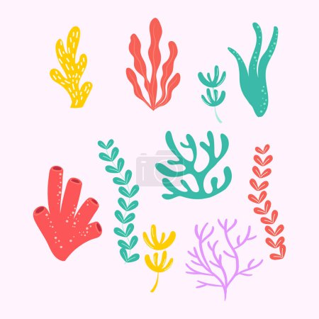 Vector hand drawn colorful coral collection