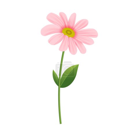 Téléchargez les illustrations : Vecteur réaliste rose chrysanthème fleurs casting ombre sur fond blanc - en licence libre de droit