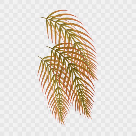 Téléchargez les illustrations : Feuilles tropicales brun vecteur de différentes plantes sur fond blanc - en licence libre de droit