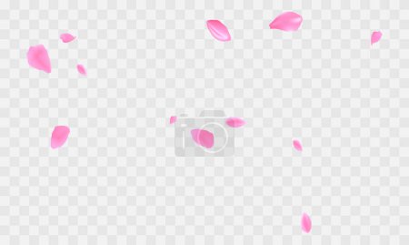 Vector realistic sakura flower petals background