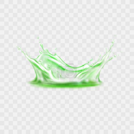 Vector realistic splash of green tea or matcha