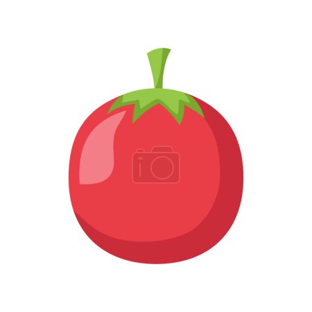 Vector tomato isolated on white background