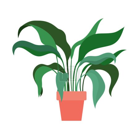 Téléchargez les illustrations : Vecteur plante maison. plante en pot isolée sur blanc - en licence libre de droit