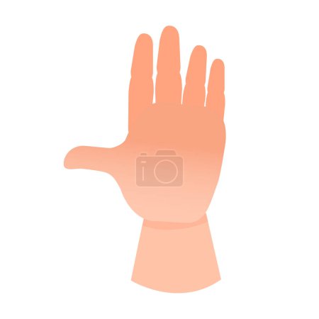 Vector hand gesture with smooth skin