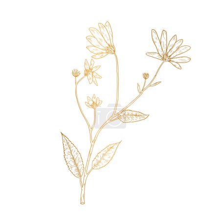 Illustration for Vector hand drawn golden leaves illustration - Royalty Free Image