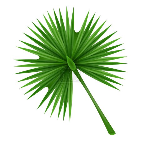 Vecteur branches de palmiers tropicaux sur blanc