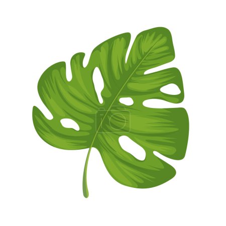 Téléchargez les illustrations : Illustration vectorielle du philodendron tropical à feuilles fendues - en licence libre de droit