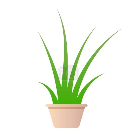 Téléchargez les illustrations : Icône de plante d'intérieur d'aloès vectoriel illustration plate de l'icône de vecteur de plante d'intérieur d'aloès pour la conception Web - en licence libre de droit