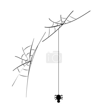 Vector spider web wallpaper on white background